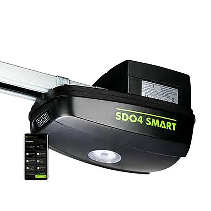 Garage door motor and rail replaced on a Fourways cluster home